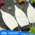 frozen carved squid whole round